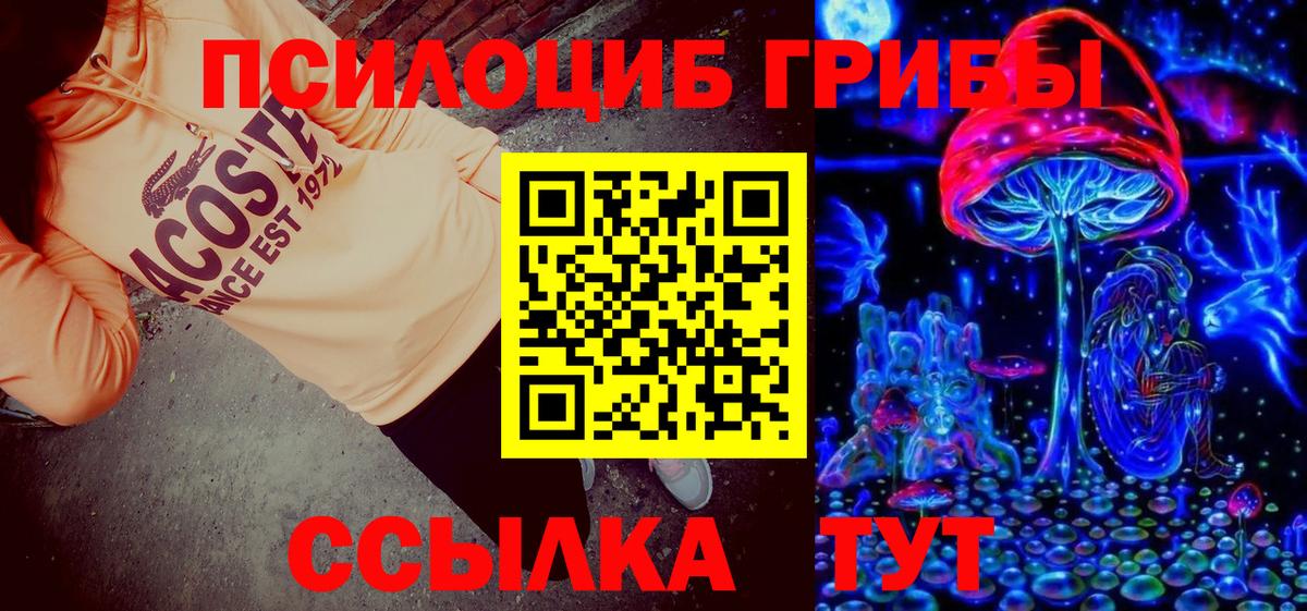 Галлюциногенные грибы Psilocybine cubensis  Псилоцибиновые грибы Psilocybine cubensis  Свободный  Вход с VPN 